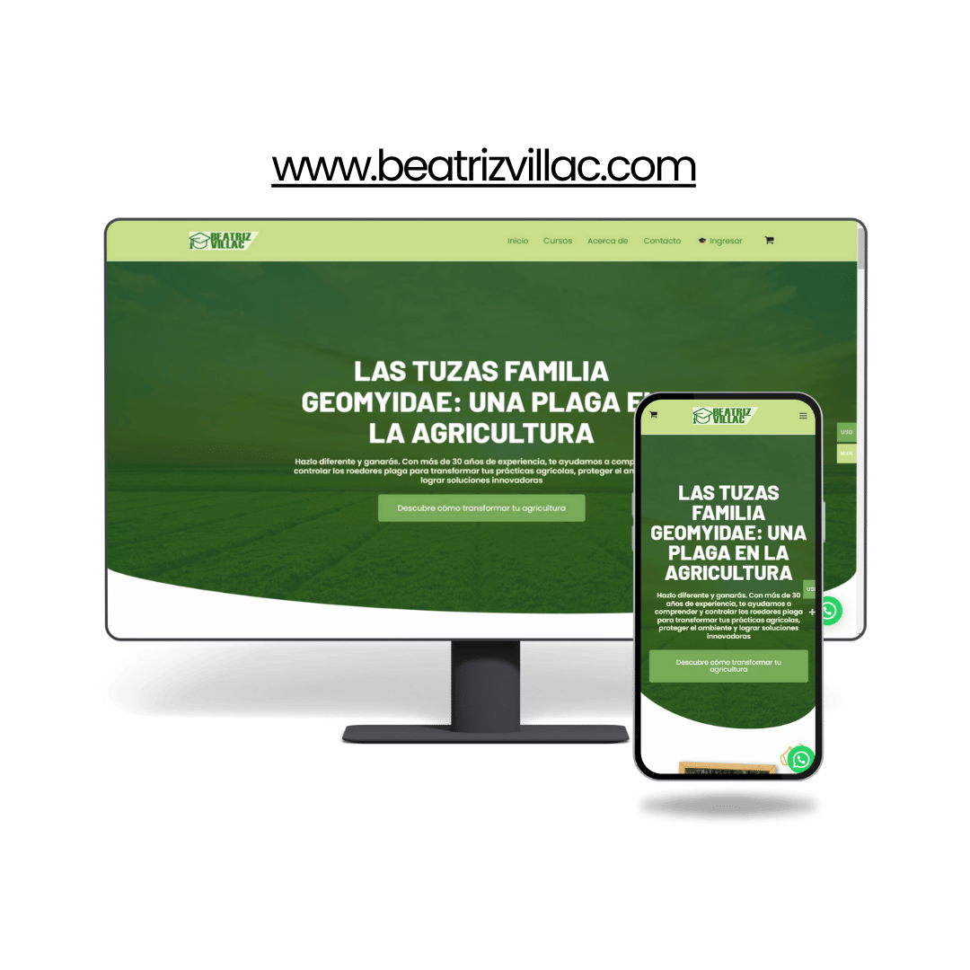 Beatriz Villa Cornejo